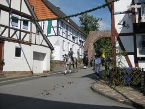 IMG_0633